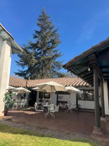 a patio with tables and umbrellas and a tree at Hostal Almendral in San Felipe +4 photos