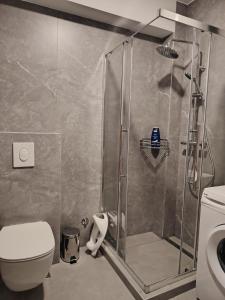 a bathroom with a shower and a toilet at Shark Herceg Novi in Meljine +17 photos