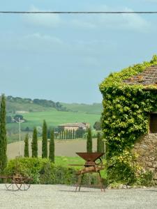 a picnic table in front of a ivy covered building at Wine Resort Colsereno in Montalcino