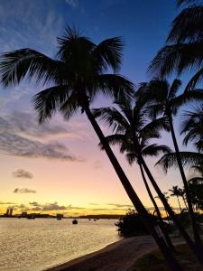 two palm trees on a beach at sunset at Ti Koala in Baie Nettle