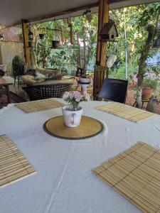 a table with a vase of flowers on top of it at Melizas Garden Pousada em Foz do Iguaçu in Foz do Iguaçu