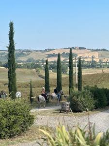 two people riding horses in a field with trees at Wine Resort Colsereno in Montalcino
