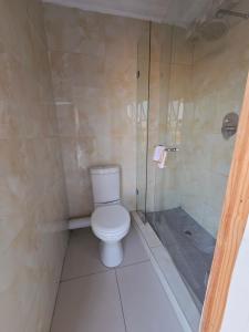 a bathroom with a toilet and a shower at Mafjoint10 in eMalahleni