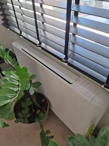 a window with a heater and plants in a room at Enza Suites in Shumen