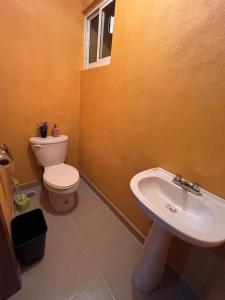 ein Badezimmer mit Toilette und Waschbecken in der Unterkunft Rincón acogedor in Toluca de Lerdo