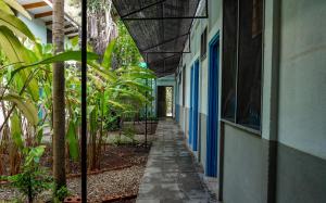 a hallway of a building with blue doors and plants at Hostel Nosara in Playa Guiones
