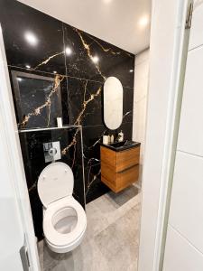 a bathroom with a toilet and a black marble wall at Le Cosy de Longwy in Longwy