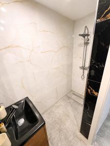 a bathroom with a sink and a shower at Le Cosy de Longwy in Longwy