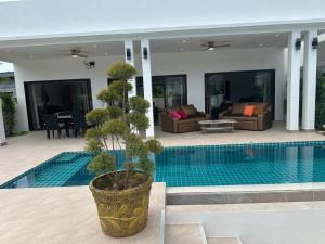 a tree in a pot next to a swimming pool at AVANA Villa in Nathon Bay +20 photos