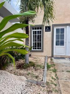 a front door of a house with a palm tree at Sakna Mérida con jacuzzi alberca privada in Mérida