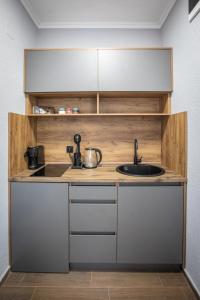 a kitchen with a sink and a counter at Sofia Luxury Apartments in Gevgelija +26 photos
