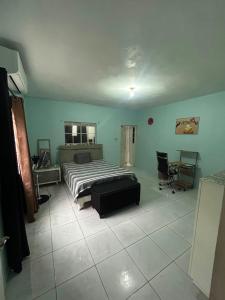 a bedroom with a bed and a desk and a chair at Ricardo's Rest Spot in Curatoe Hill