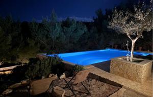 a swimming pool in a garden at night at Villa Aqua in Vrbanj +43 photos