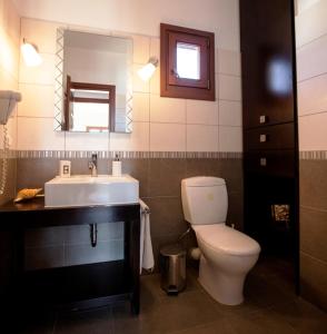 a bathroom with a toilet and a sink and a mirror at Apartment Kalypso in Agia Anna Naxos