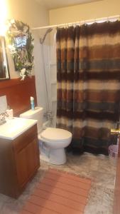 a bathroom with a toilet and a shower curtain at The Sparkle House in Cedar Rapids +7 photos