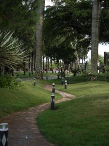 a path in a park with many parking meters at Amavi Vườn Trà in Buôn Bedeur