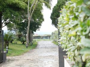 a cobblestone road through a garden with trees at Amavi Vườn Trà in Buôn Bedeur