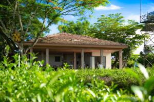 a small house in the middle of a garden at Amavi Vườn Trà in Buôn Bedeur