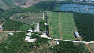 an aerial view of a large field of crops at Amavi Vườn Trà in Buôn Bedeur