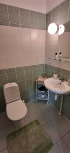 a bathroom with a toilet and a sink at Sinilille 5 Holiday Home in Kuressaare +12 photos