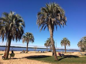 a group of palm trees on a sandy beach at Panambí in Colón