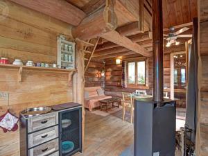 a log cabin with a woodburning stove in a living room at Chalet chaud, nature sauvage, internet PC, idéal randonnées - FR-1-496-184 in Saint-Martin-la-Sauveté +10 photos
