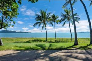 a group of palm trees on the beach at Apartment on The Strand - 2 Bed 2 Bath in North Ward