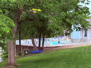 a group of trees and a swimming pool at Spacious Lakeview Condo with 3 BR3 BA and Pool in Lake Ozark