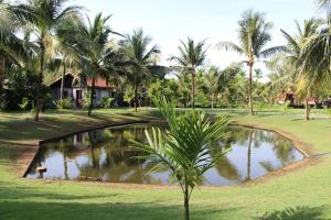 a pond in a park with palm trees and a house at Woods House Homestay in Sa Ðéc