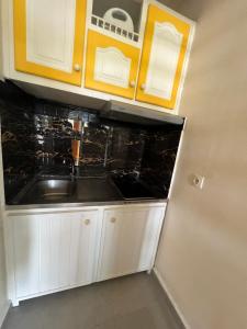 a kitchen with white cabinets and a sink at Sucriers in Garnier