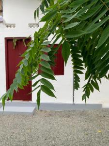 a leafy tree in front of a building with a red door at Lathu - zen Stay Hotal in Trincomalee