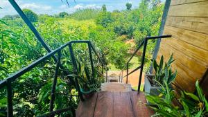 a wooden walkway with a view of a forest at Elegant Elephant Tree House Sigiiriya in Sigiriya