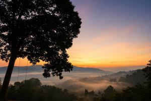 a tree with a view of a foggy valley at sunset at 4sky in Ban Kai Noi