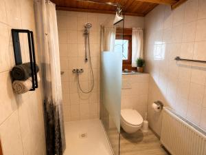 a bathroom with a shower and a toilet at Ferienwohnungen Forellengrund Schierke in Schierke +50 photos