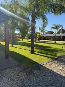 a palm tree in a park with a house at Barooga River Gums Motor Inn in Barooga