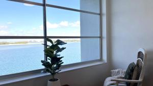 a plant in a window with a view of the water at Pumicestone Chase Unit 5 in Caloundra