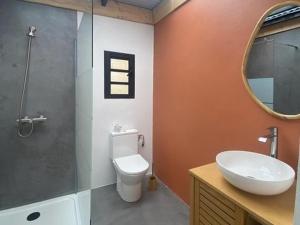 a bathroom with a toilet and a sink and a mirror at kaz frangipanier in Entre-Deux