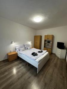 a bedroom with a bed and a television in it at Arnold Apartmanház in Bük