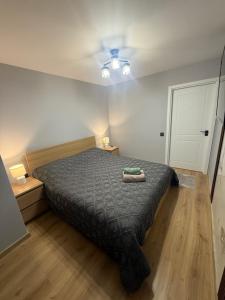 a bedroom with a bed and a ceiling fan at Kogălniceanu 24 in Căuşeni