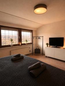 ein Schlafzimmer mit Bett und Flachbildfernseher in der Unterkunft Villa Eifelblick Sauna&Wellness Apartment in Heimbach