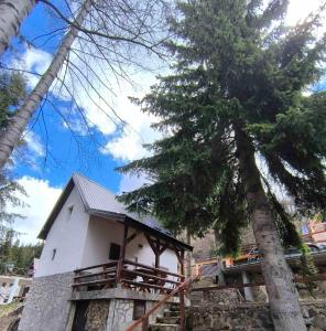 a white building with a tree in front of it at Sova Kopaonik in Kopaonik