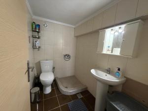 a small bathroom with a toilet and a sink at Yellow Submarine in Skala Fourkas +25 photos