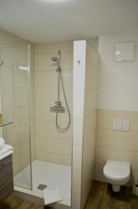 a bathroom with a shower and a toilet at Haus Hofer in Bramberg am Wildkogel