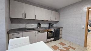 a kitchen with a sink and a dishwasher at Fewo-OPR de Billi in Wusterhausen