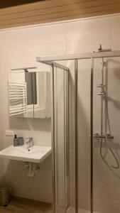 a bathroom with a shower and a sink and a mirror at Ferienhaus 'Rester in Habruck +27 photos