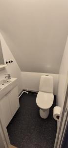 a bathroom with a white toilet and a sink at The Yellow House in Boden +5 photos