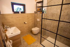 a bathroom with a shower and a sink and a toilet at Macaklin Fužine in Fužine +23 photos