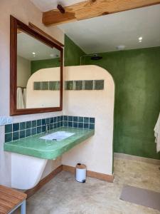 a bathroom with a sink and a mirror at Tinyhouse insolite - Au bout du chemin - 10 min de Foix in Baulou +31 photos