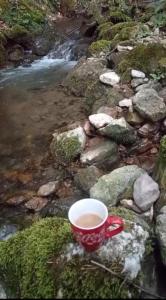 a cup of coffee sitting on some rocks next to a stream at Vikendica Coco in Gornja Toplica +4 photos