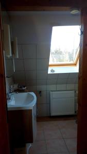 a small bathroom with a sink and a window at Ferienwohnung am Papensee in Hohen Sprenz